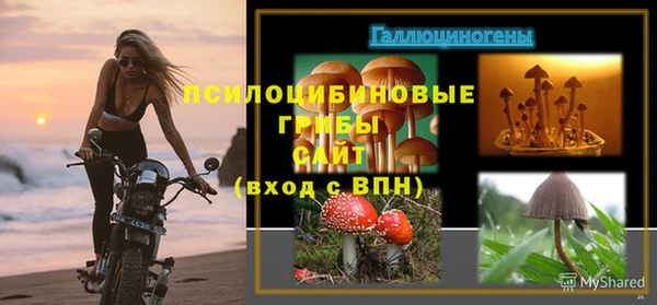 хмурый Баксан