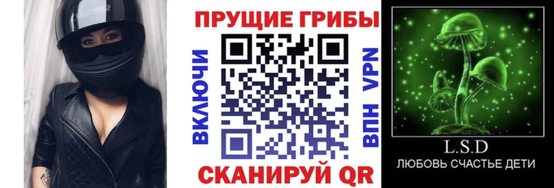 кракен сайт  Лесосибирск  Псилоцибиновые грибы Psilocybe 