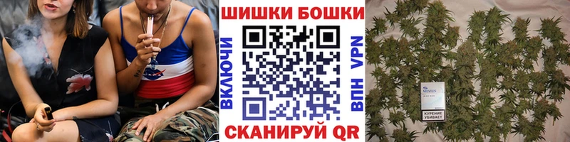 Шишки марихуана OG Kush  где купить наркоту  Лесосибирск 